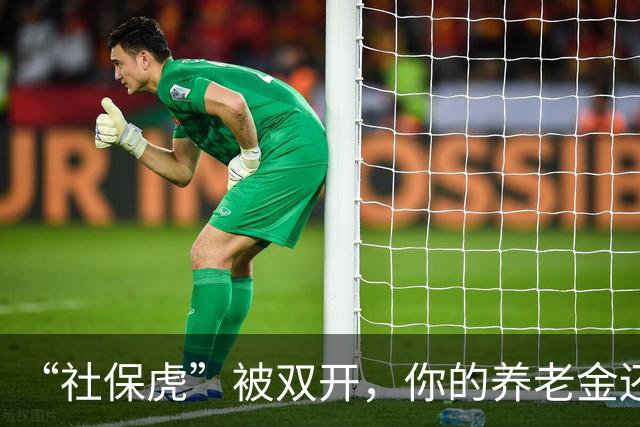 “社保虎”被双开，你的养老金还好吗？