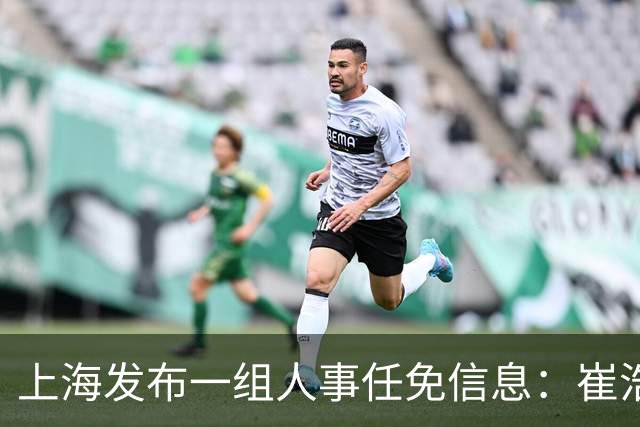 上海发布一组人事任免信息：崔浩任市市监局副局长、市药监局局长