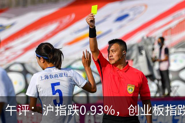 午评：沪指跌0.93%，创业板指跌3.63%，全市场超4700股下跌，半导体、CPO、PCB概念跌幅居前