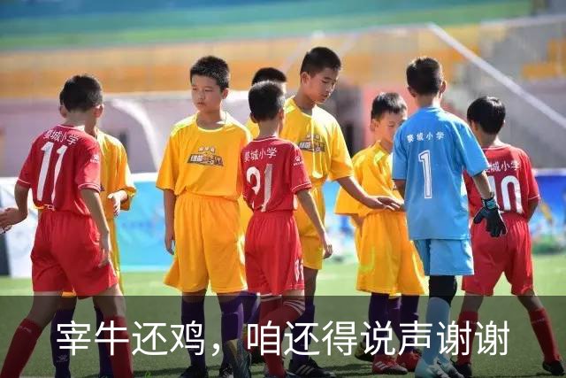 宰牛还鸡，咱还得说声谢谢