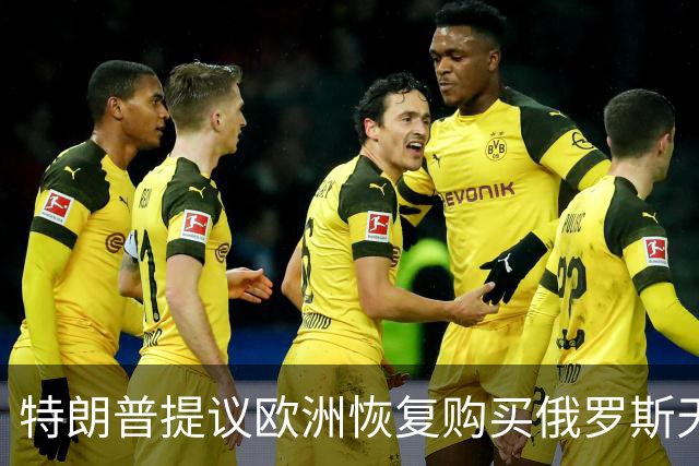 特朗普提议欧洲恢复购买俄罗斯天然气，作为和平协议的一部分