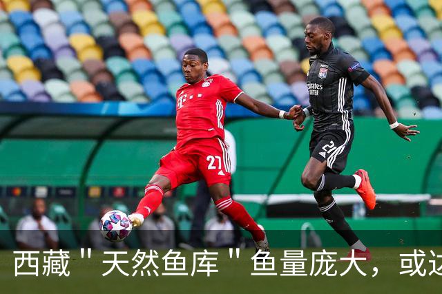 西藏＂天然鱼库＂鱼量庞大，或达2亿公斤？为何人们不进行打捞？
